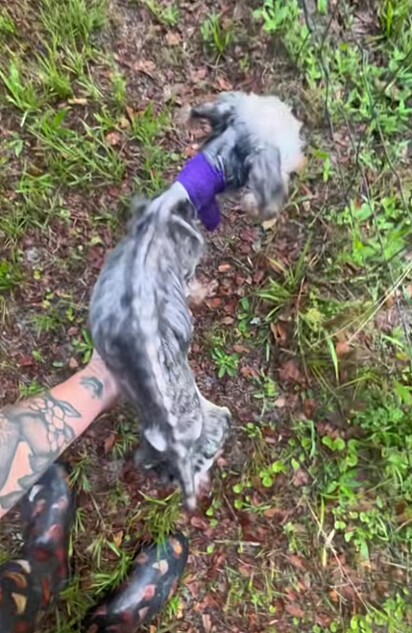 Hazel estava tão magra que nem conseguia parar em pé.
