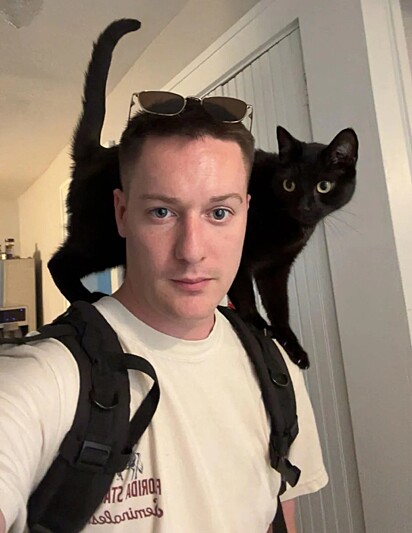 Luna, uma gata adotada com 7 anos, e seu novo tutor.