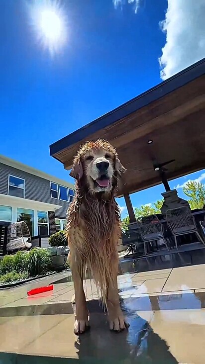 Tucker feliz da vida com a abertura da piscina.