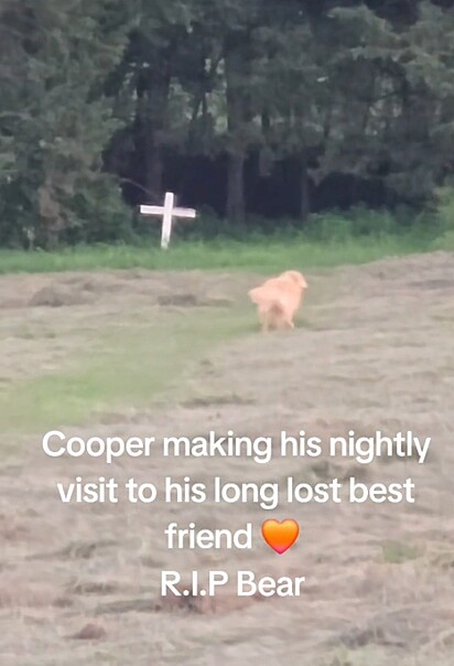Cooper indo visitar seu amigo no túmulo.