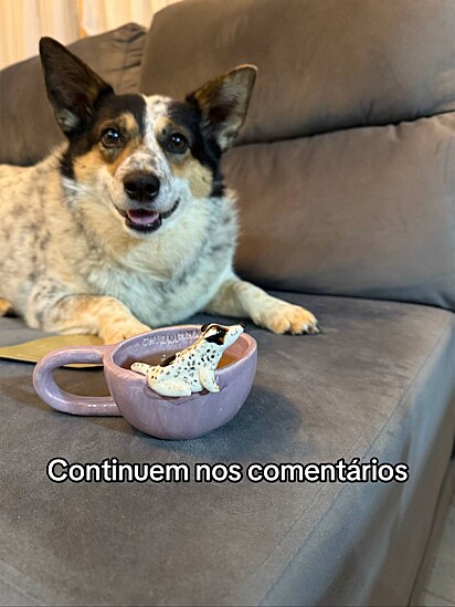 Chiquinha convidou os seguidores a continuarem a lista.