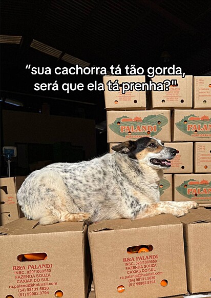 Chiquinha já estava cansada de ouvir comentários sobre o peso.