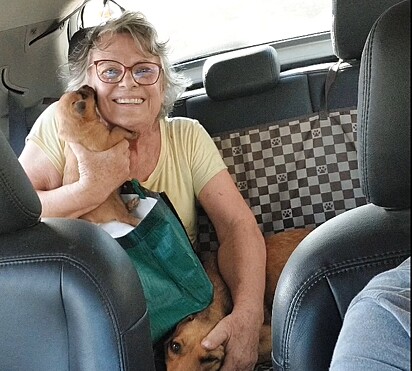 As voluntárias do abrigo Adote um Focinho não medem esforços para salvar e transformar vidas.