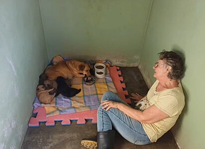 Amor define o trabalho incansável das voluntárias.