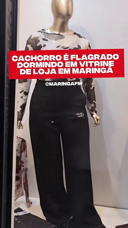 A loja se manifestou na publicação original.