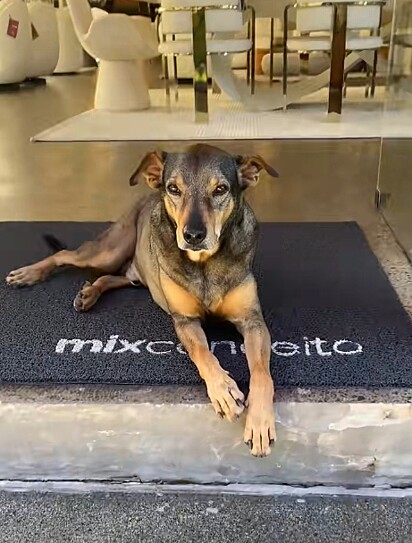 Mix, o dono da empresa.