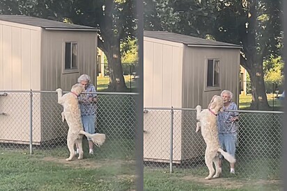 Dona Edna e a cachorrinha Honey.