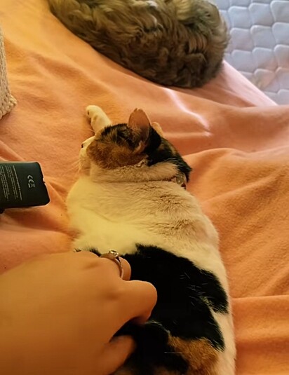Como está a mamãe atualmente. 