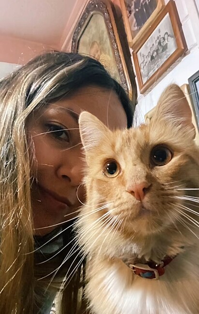 Como está o gato Aurelio. 