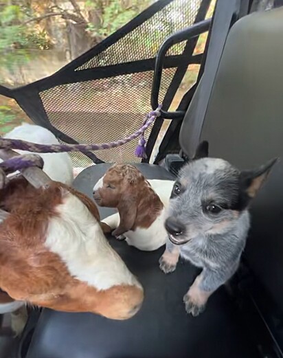 Ramoncito a caminho do seu primeiro dia de trabalho. 