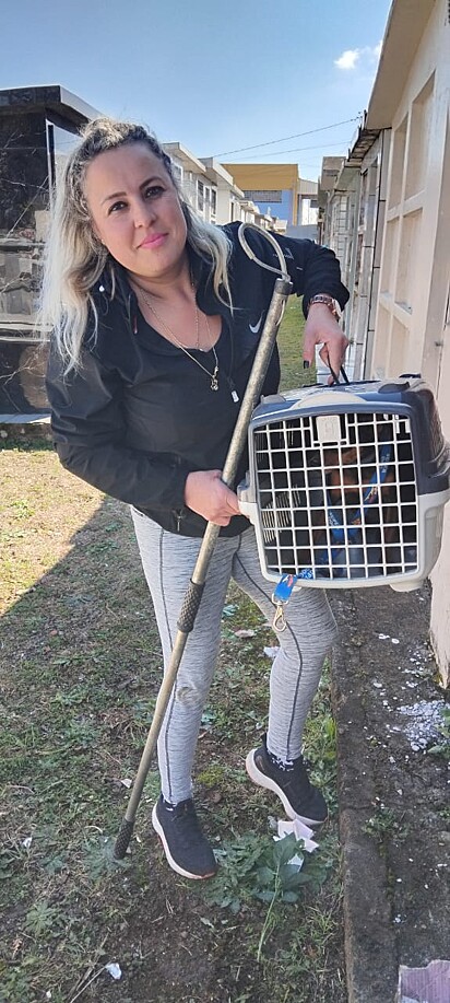 O cão estava assustado e não permitia aproximação.