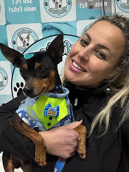 Aline ofereceu banho, anti pulgas e castração.