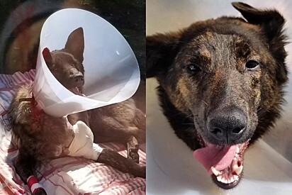 Poucos dias após a cirurgia, ela já estava radiante.