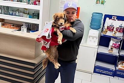 Jonathan tratou com cão com todo o carinho.