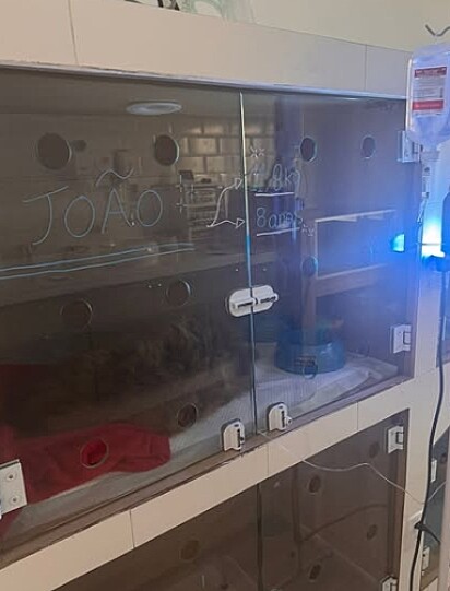 João foi internado às pressas.