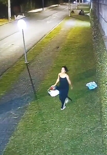 Abandono de animais é crime no Brasil.