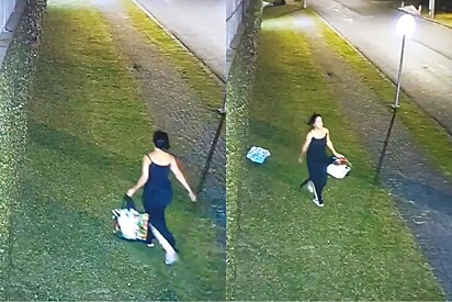 Após câmera mostrar animalzinho que mulher jogou de dentro de sacola, protetora decide denunciar.