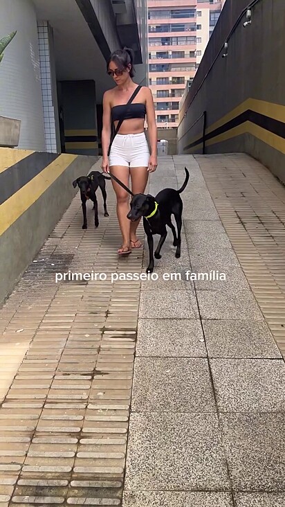 Fernando aceitou a vira-lata desde o primeiro momento.