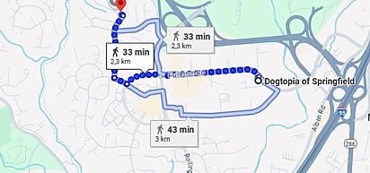 Sampson fugiu e andou por mais de 2 km até a creche.