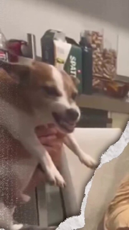 Bruce ficou uma fera quando viu alguém passando a mão na barriga de Eduarda.