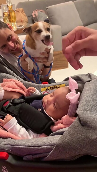 O cão conheceu Aurora quando a bebê completou 2 meses.