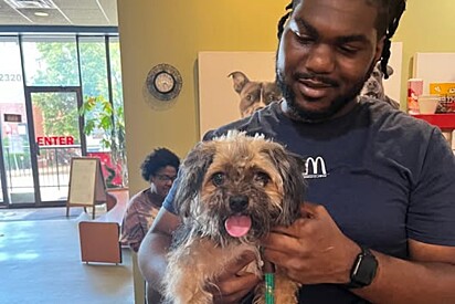 Em abrigo de animais, funcionários escaneiam microchip de cachorro perdido - logo depois todo mundo começa a chorar.