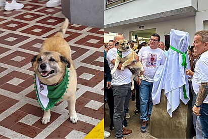 Com sorriso no rosto, comunidade inaugura estátua em homenagem ao seu cão favorito da cidade.