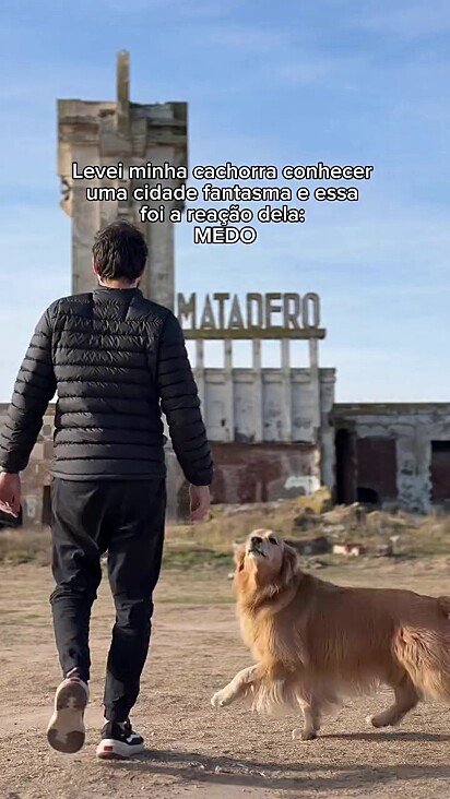 A cachorrinha não teve um pressentimento bom do lugar.