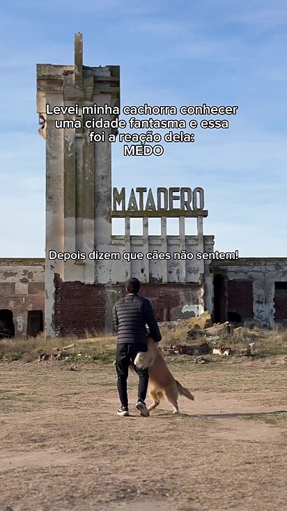 A golden retriever não deixou o tutor se aproximar do local.