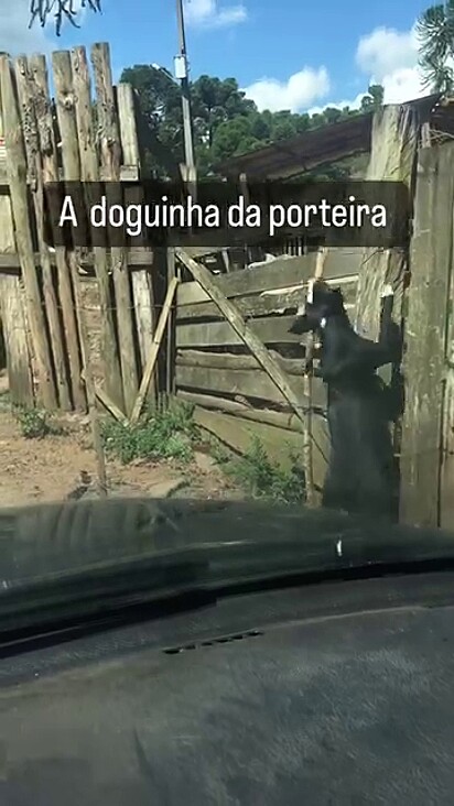 Pit foi uma das resgatadas e é muito grata pela Aline.