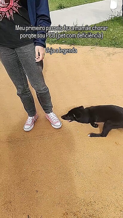 A tutora estava apreensiva mas tudo saiu sob controle.