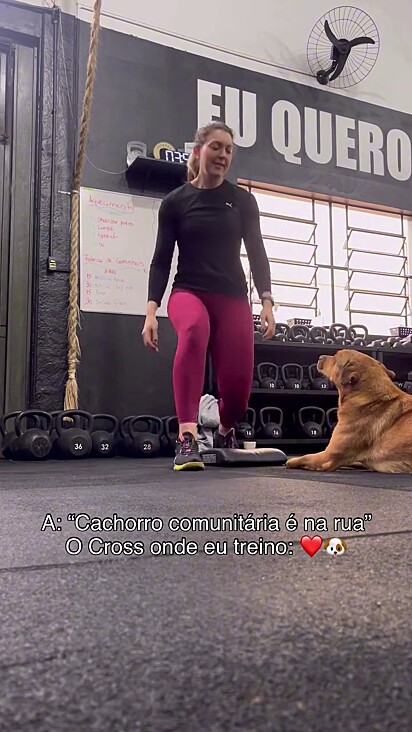 O cachorro é bem-vindo no local.
