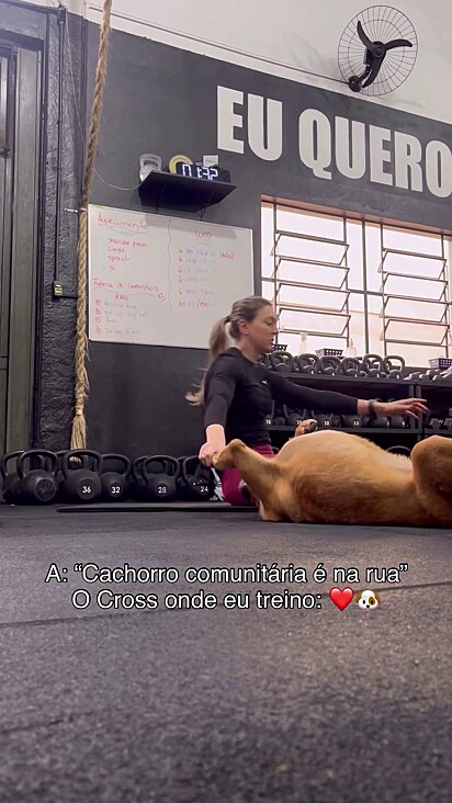 O cachorro sabe até o momento de virar de barriga para cima.