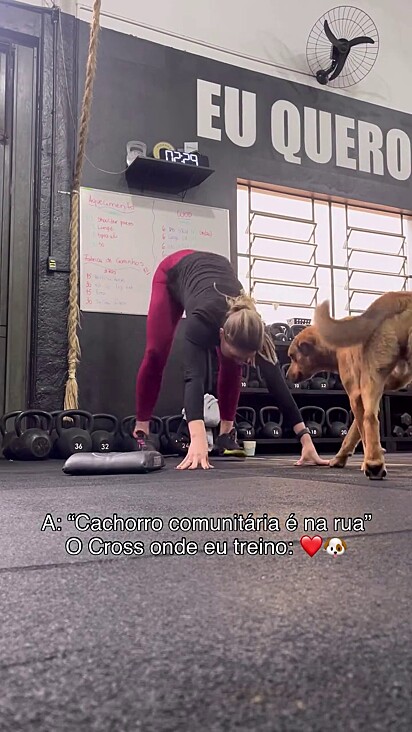 O cão acompanhou Franciele nos exercícios.