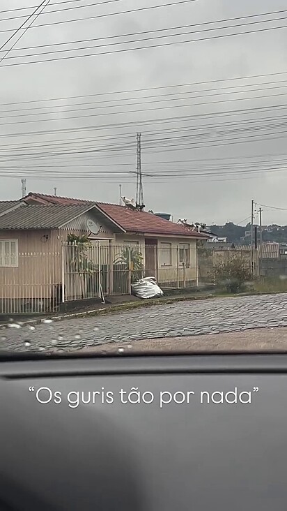 Os animais já são conhecidos na região.