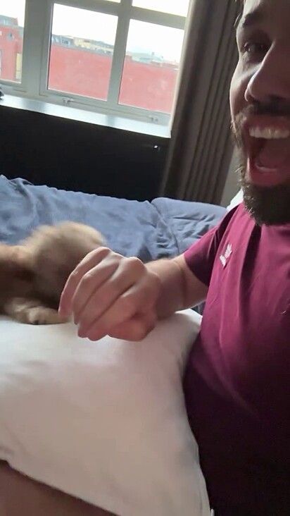 Quando Fernando grita AI o pet para de morder.