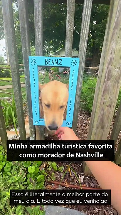 Beanz ganhou muitos fãs nas redes sociais.