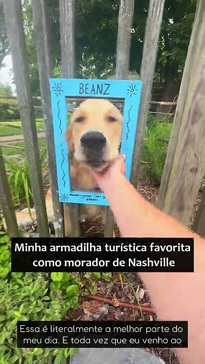 O golden é a celebridade do bairro.