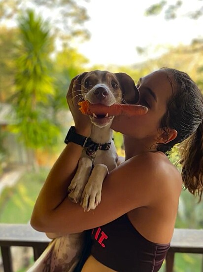 Canela é uma cachorrinha muito doce e companheira.