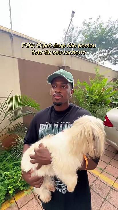 Alguns petshops não dão conta de postar fotos de todos os clientes.