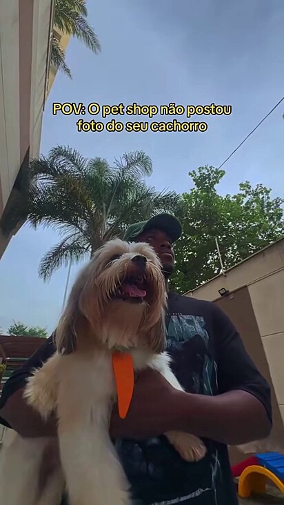 Muitos internautas se identificaram com o assunto do vídeo.