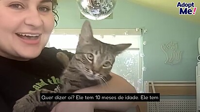 Atualmente ele está disponível para adoção.