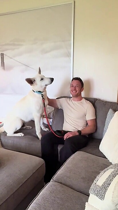 O cachorro foi conquistado com paciência.