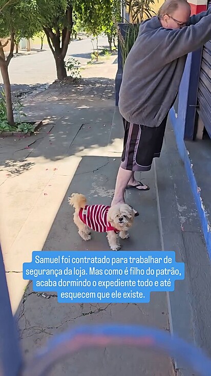 O cachorro Samuel acabou dormindo em serviço.
