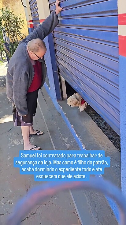 O cão não gostou de ter sido acordado.