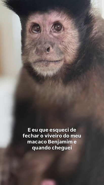 Apesar do caos, Mari não conseguiu brigar com o pet.