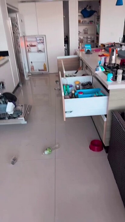 Nem a geladeira escapou da bagunça do primata.