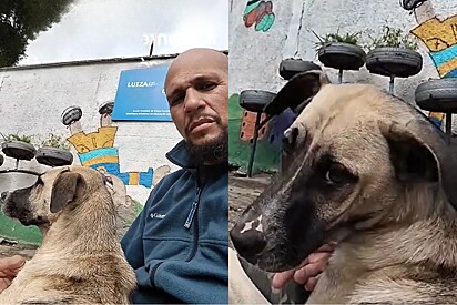 No dia do aniversário, motociclista fica famoso por sofrer acidente e ganhar uma cachorro no mesmo instante.