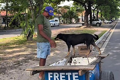 Só pensou no cão: Homem pergunta a senhor humilde o que alegraria o seu dia e resposta emociona 