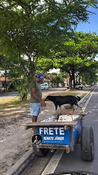 O cachorro Loki acompanha o tutor no dia a dia.